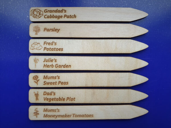Personalised Oak "Lollipop" Plant Tags