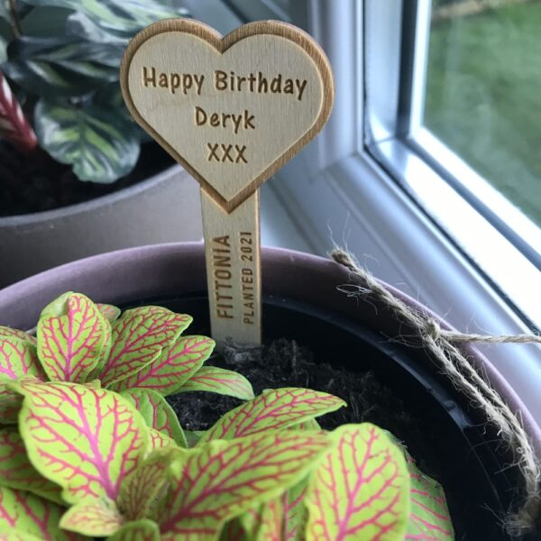 Heart Shaped Plant Tag