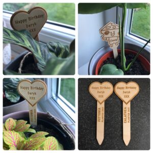 Heart Shaped Plant Tag