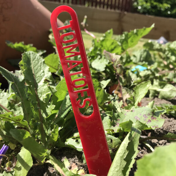 Personalised Plant Tag