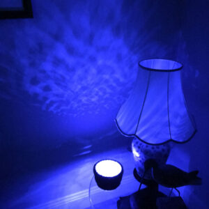 Fairy Lights