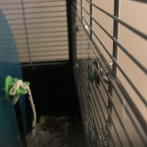 Savic Plaza Deep Bedding Screen