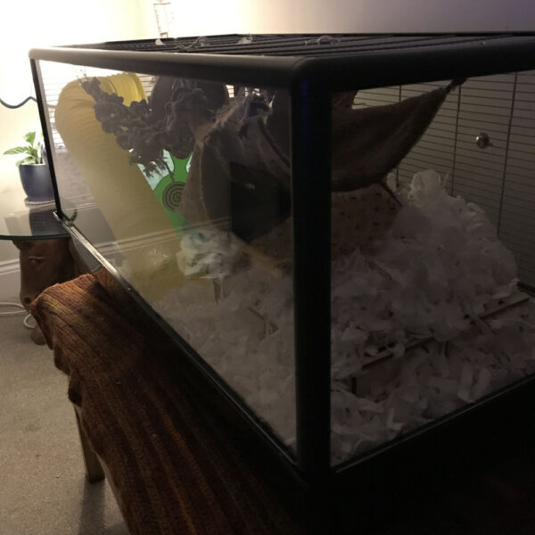 Savic Plaza Complete Cage Replacement Screen