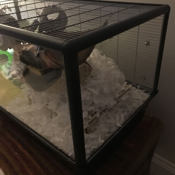 Savic Plaza Complete Cage Replacement Screen