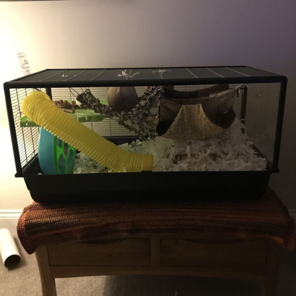 Savic Plaza Complete Cage Replacement Screen