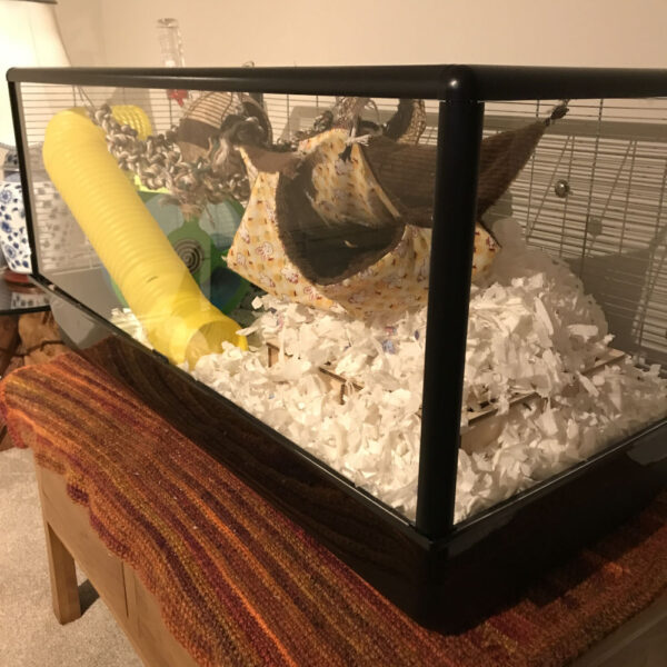 Savic Plaza Complete Cage Replacement Screen