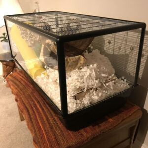 Savic Plaza Complete Cage Replacement Screen