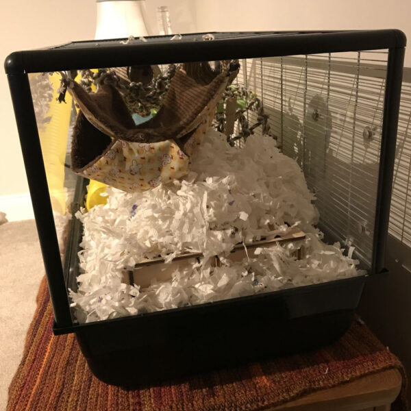 Savic Plaza Complete Cage Replacement Screen
