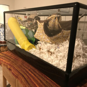 Savic Plaza Complete Cage Replacement Screen