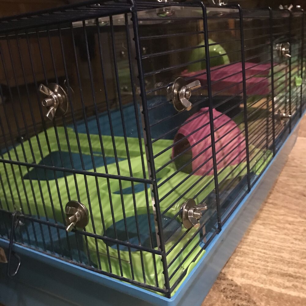 Hamster heaven cage review deals