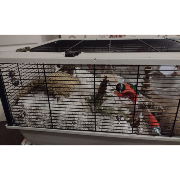 Grosvenor Large Deep Bedding Screens