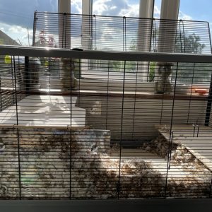 Langham XL Deep Bedding Screens
