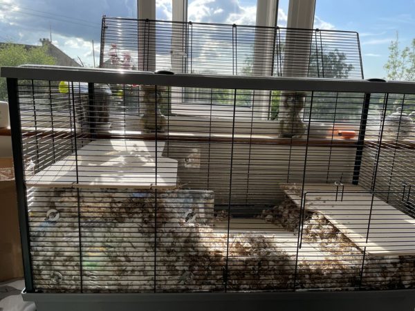 Langham XL Deep Bedding Screens