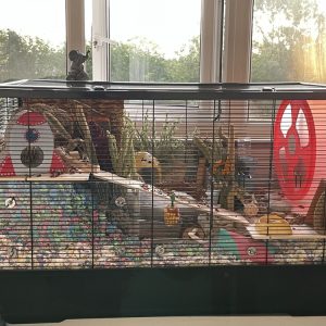 Langham XL Deep Bedding Screens