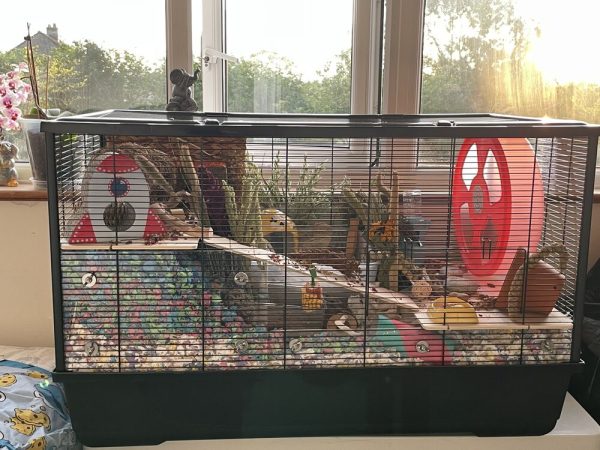 Langham XL Deep Bedding Screens