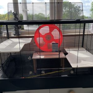 Langham XL Deep Bedding Screens