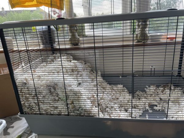 Langham XL Deep Bedding Screens