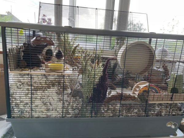 Langham XL Deep Bedding Screens