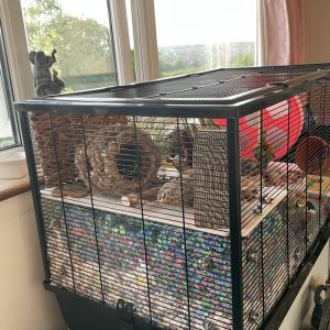 Langham XL Deep Bedding Screens