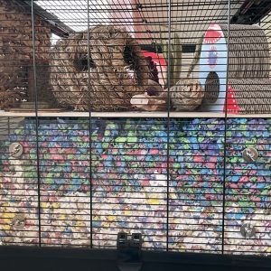 Langham XL Deep Bedding Screens
